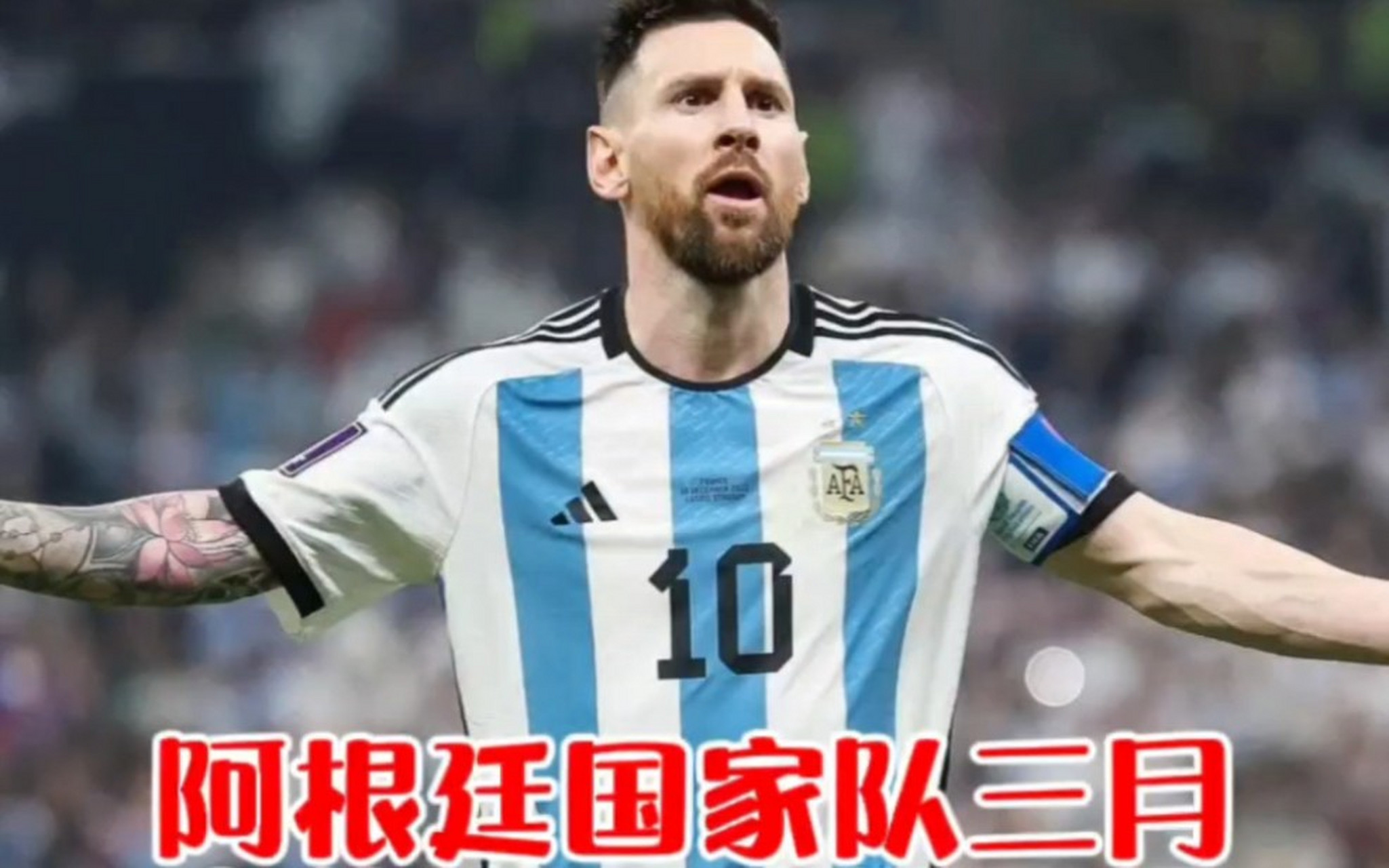 阿根廷男篮逆袭晋级，尼日利亚队遭淘汰