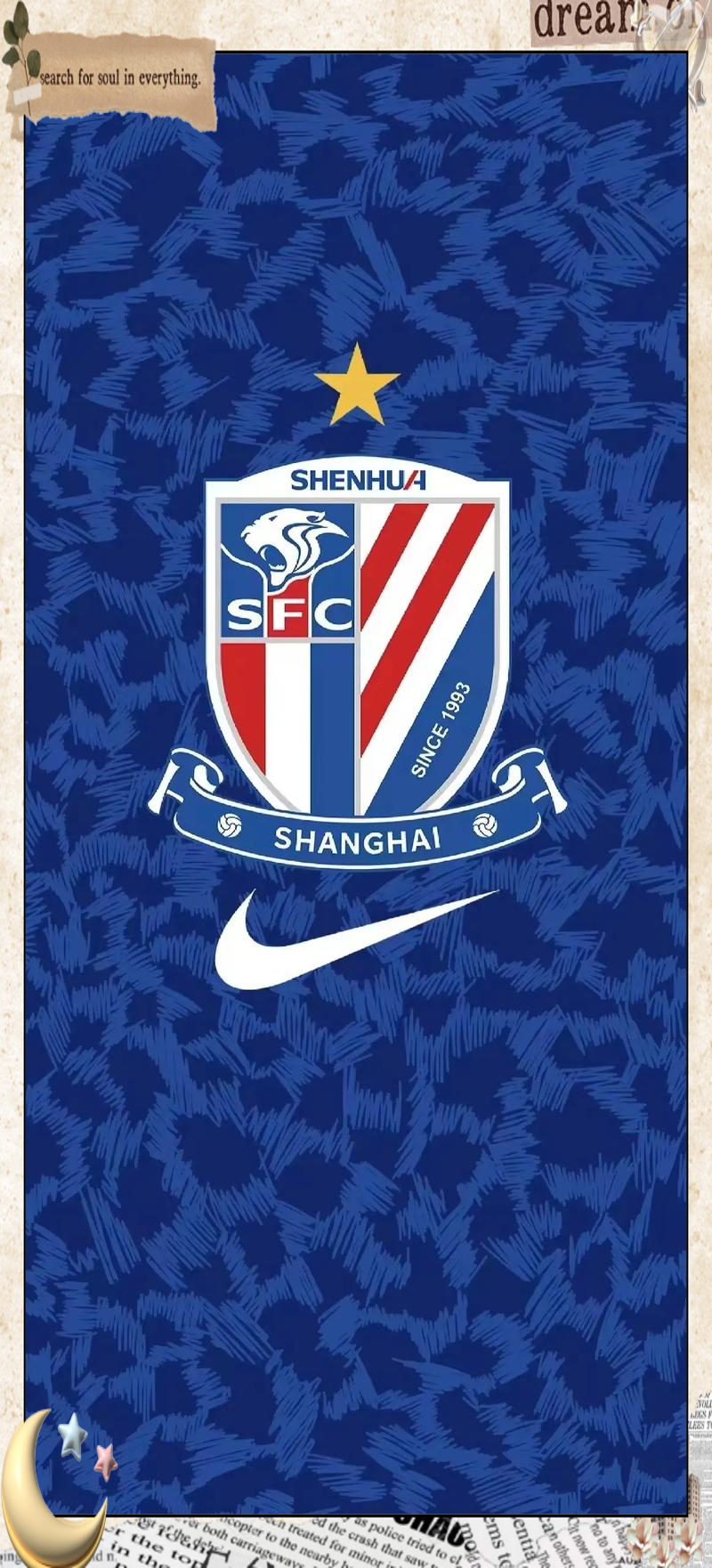 天津天海继续颓势，被上海申鑫逆转取胜的简单介绍