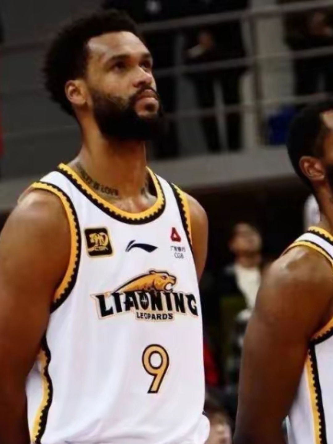 关于法国击剑队夺冠，出色发挥势不可挡的信息