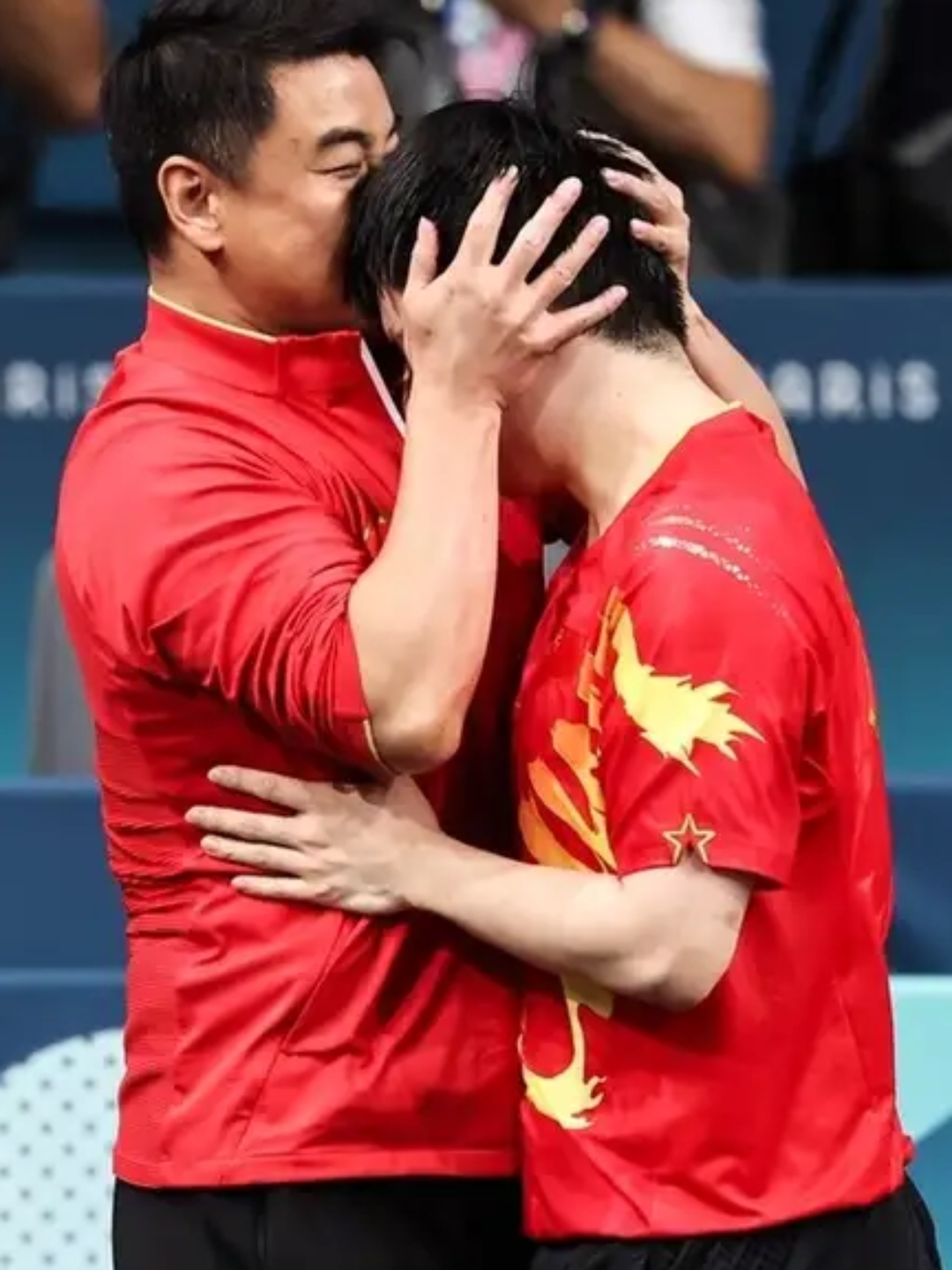 瑞典队逆转韩国队，樊振东带队取胜