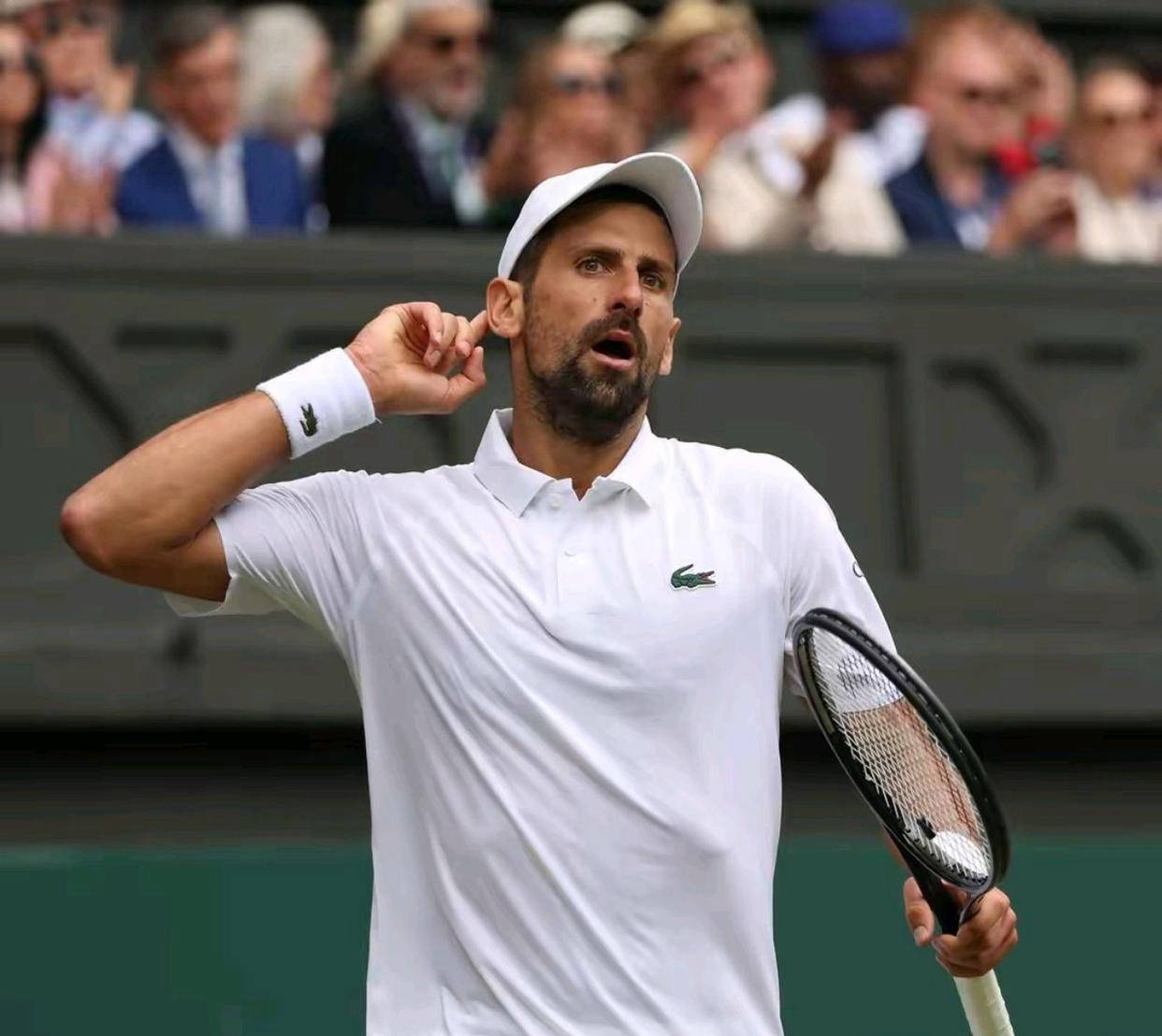 年终总决赛逆转ATP总决赛，德约科维奇高光表现