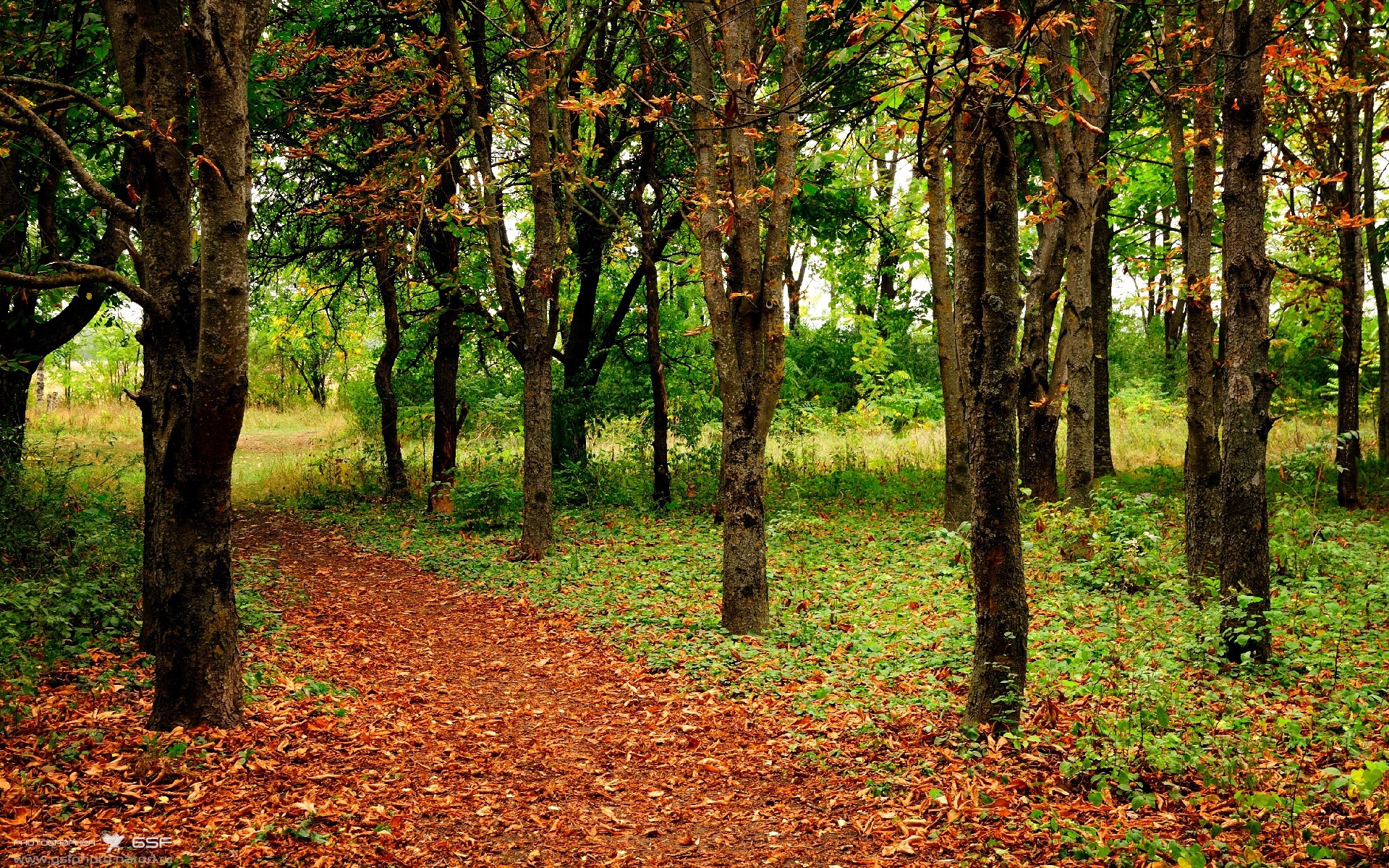 幻影交织,恩比德统治与深圳击溃背后的胜负图腾