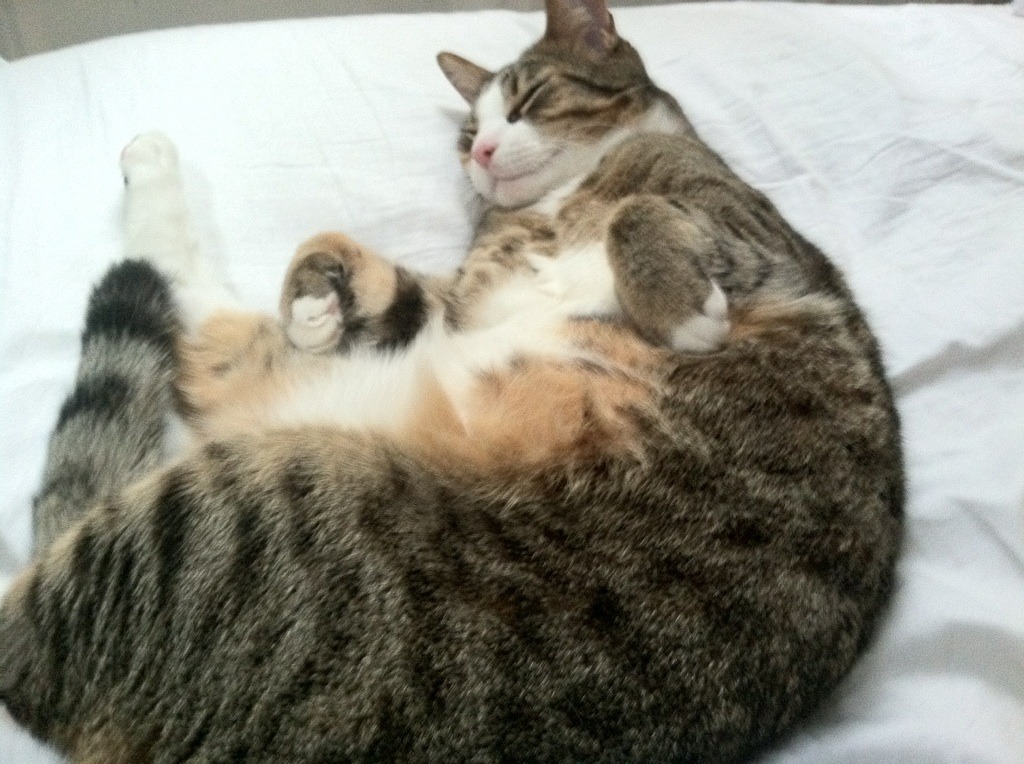 威尔士奇迹,终结比利亚雷亚尔,富安健洋关键先生崛起