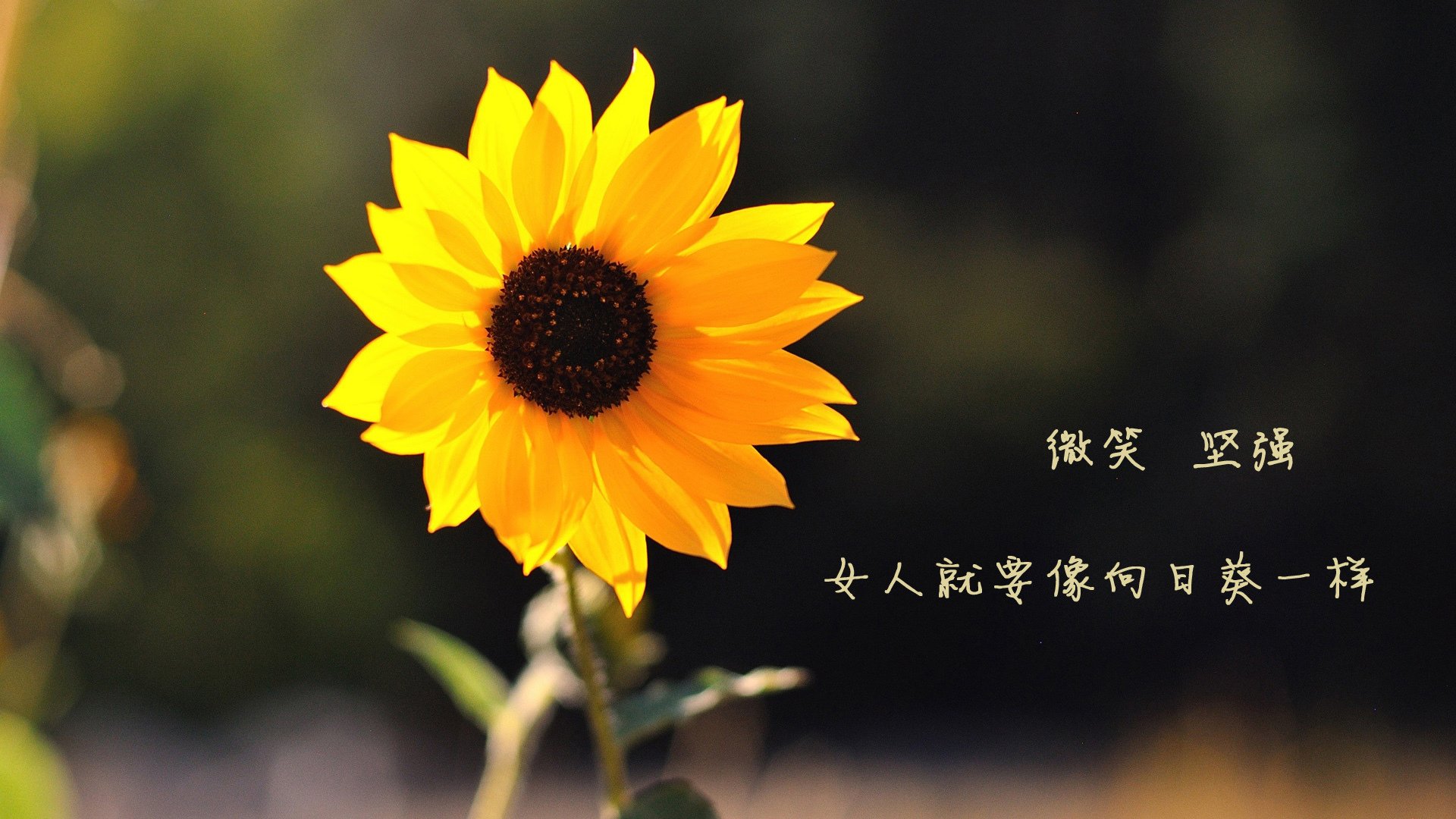 骑士战术压制雄鹿,哈登里程碑之夜难掩失利阴霾