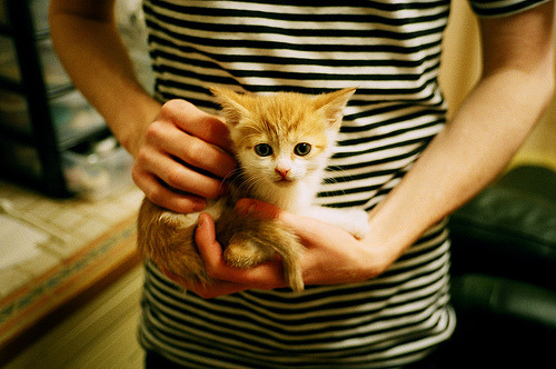 意式锋刃，欧陆淬火，拉齐奥狂胜尼斯，罗德里戈冠军级表现昭示蓝鹰野心