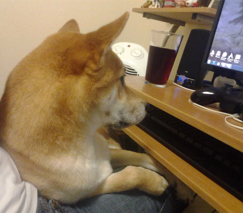 冰岛寒夜淬炼真金，特奥一传一射，勒沃库森踏平北欧冰川