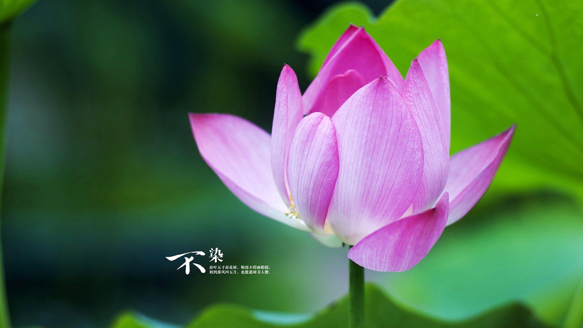 恩佐关键先生闪耀，巴拉圭强势晋级力克比利亚雷亚尔