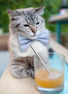 破晓之战，文班亚马惊世绝杀，猛龙撕碎雄鹿不败金身