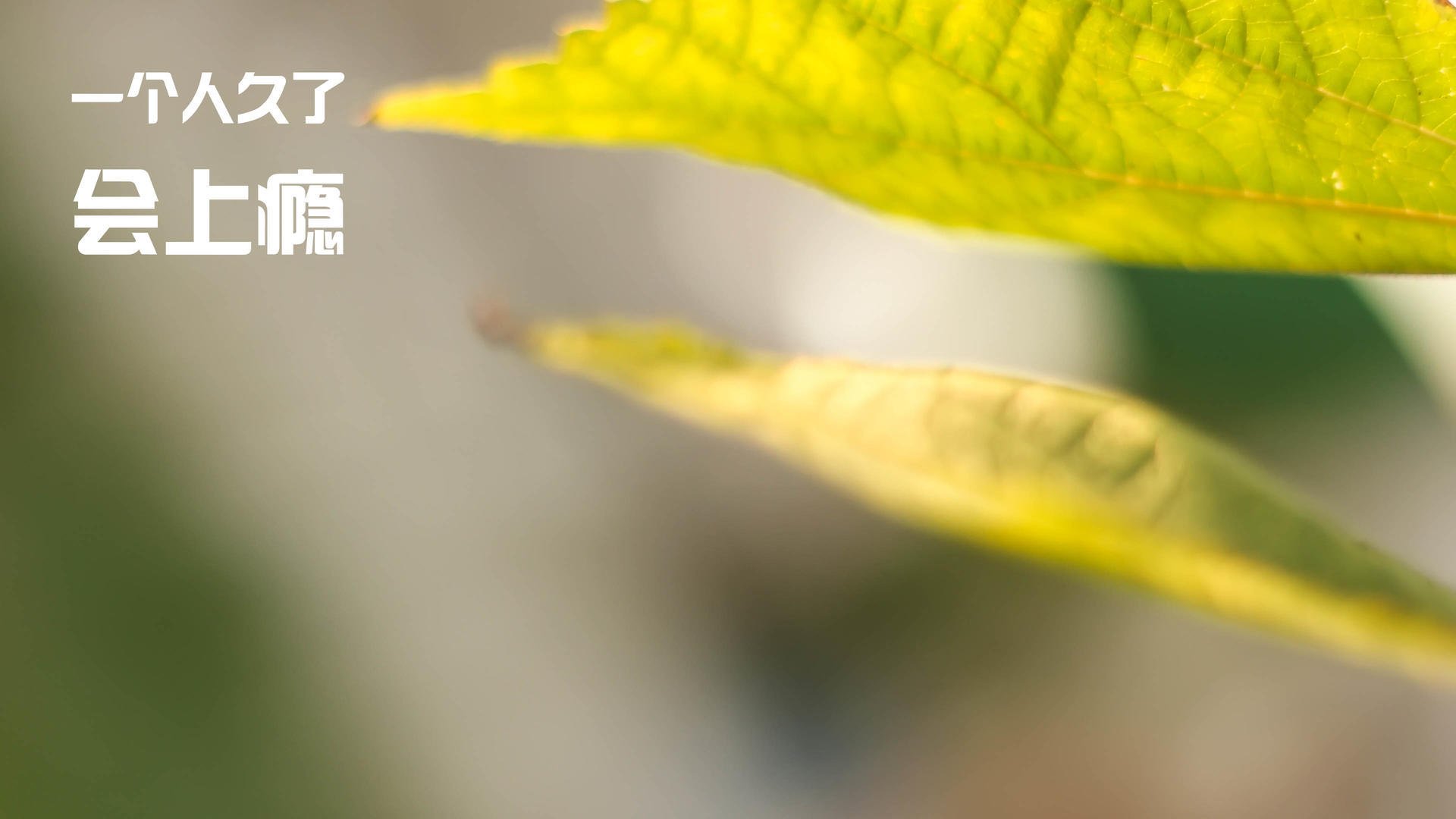 德甲争冠夜激战正酣，梅西关键战不手软的启示