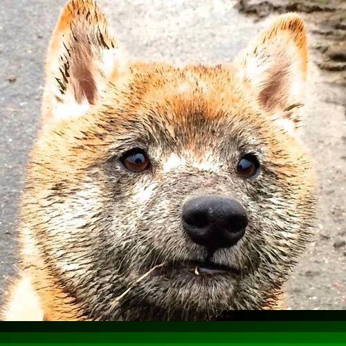 救赎之夜,快船破广厦铁阵,西亚卡姆终成关键先生